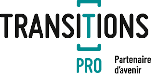 Logo de Transition Pro